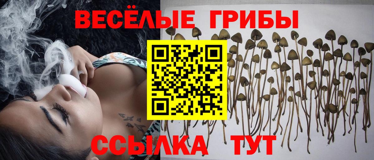Псилоцибиновые грибы ЛСД Богородицк